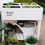 LA PAJARITA Jasmine Flower - Törtfehér Krétafesték Kültérre (750 ml)