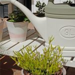 LA PAJARITA Vintage - Sötétszürke Krétafesték Kültérre (750 ml)