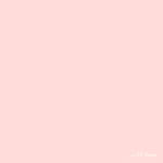 LA PAJARITA Satin Rosa - Csipkerózsaszín Szatén Festék (35 ml)