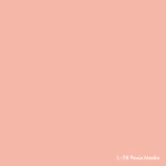 LA PAJARITA Satin Medium Pink - Lazacrózsaszín Szatén Festék (35 ml)