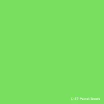 LA PAJARITA Satin Parrot Green - Papagájzöld Szatén Festék (35 ml)