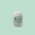 LA PAJARITA Mint - Menta Chalk Paint