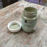 LA PAJARITA Agave agave kaktusz krétafesték