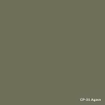 LA PAJARITA Agave agave kaktusz krétafesték