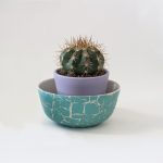 LA PAJARITA repesztőlakk